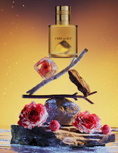 Carica l'immagine nel visualizzatore di Gallery, Fire On Ice