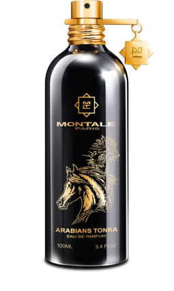 Arabians Tonka di Montale