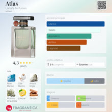 Carica l&#39;immagine nel visualizzatore di Gallery, Atlas
