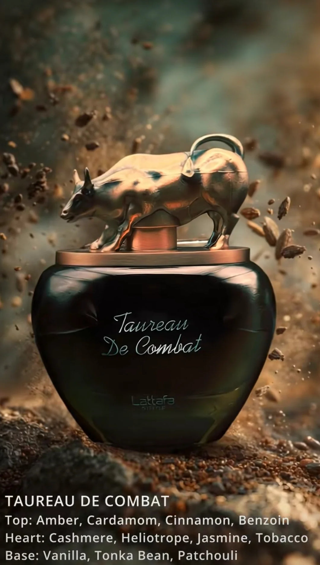 Taureau de Combat